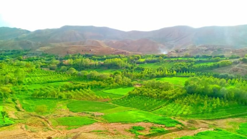 قتل فجیع یک مرد ۶۰ ساله در استان پروان