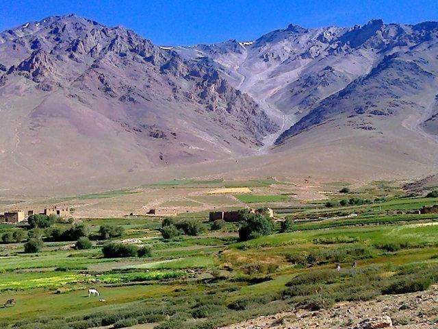 مجبورکردن باشندگان جلریز به پرداخت حدود دو میلیون به یک کوچی