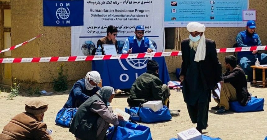 سازمان بین‌المللی مهاجرت در کابل دوباره به فعالیت آغاز کرد