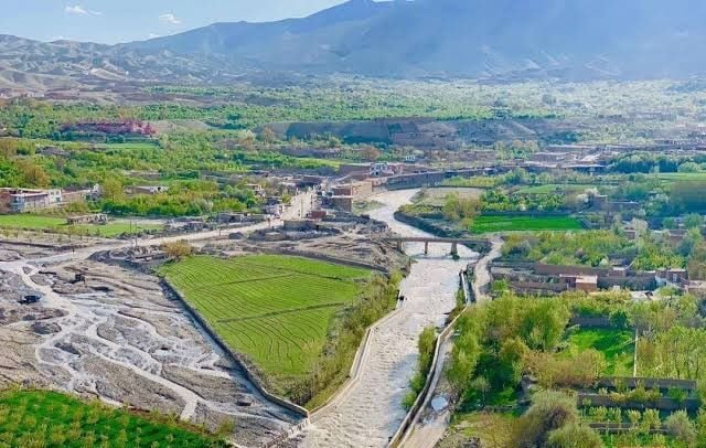 کشته‌شدن پنج جنگ‌جو گروه طالبان در استان پروان از سوی جبهه آزادی