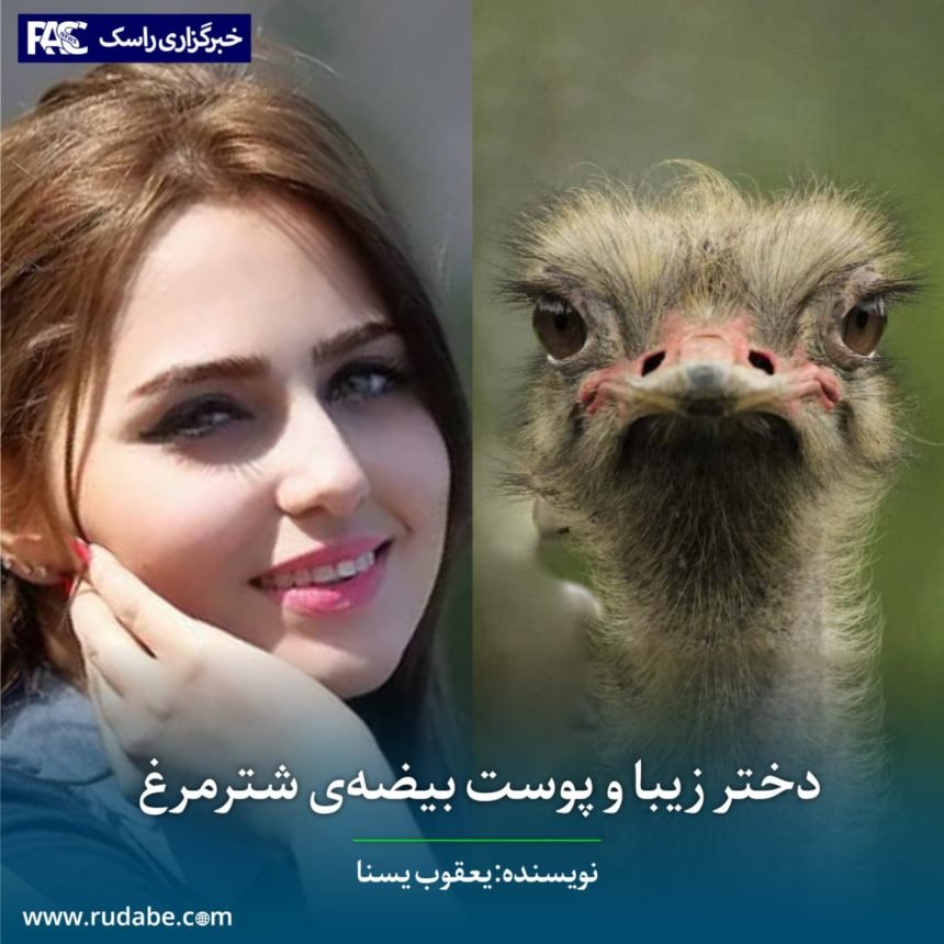 دختر زیبا و پوست بیضه‌ی شترمرغ