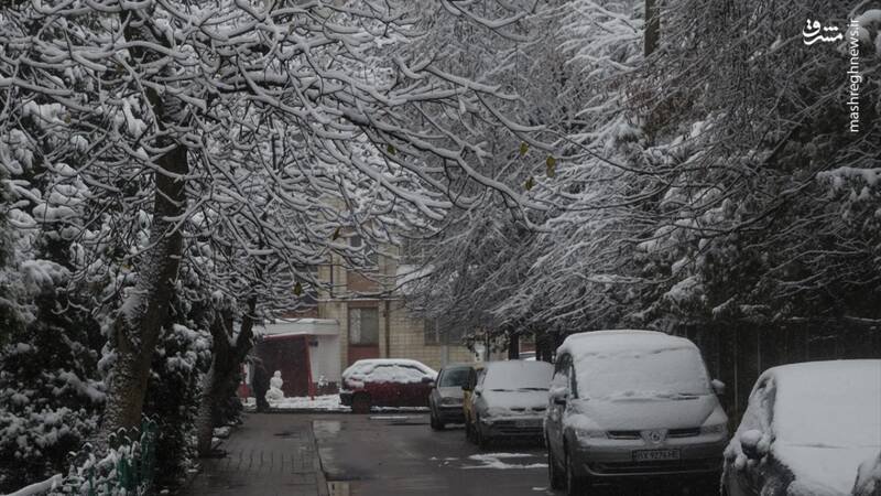 سردی هوا در اوکراین جان ۱۰ تن را گرفت