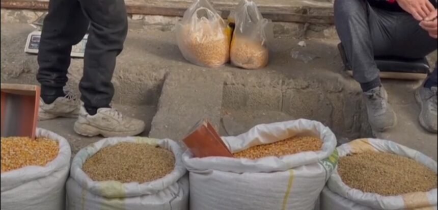 قحطی و گرسنگی مردم غزه را مجبور ساخته تا به دام حیوانات روی بیاورند