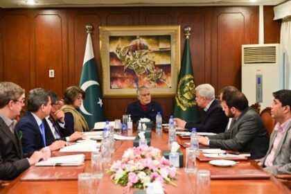 وزارت خارجۀ پاکستان انتقال پناه‌جویان افغانستانی به‌کشورهای سومی را بررسی می‌کند