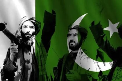 طالبان پاکستانی دولت موازی تشکیل دادند
