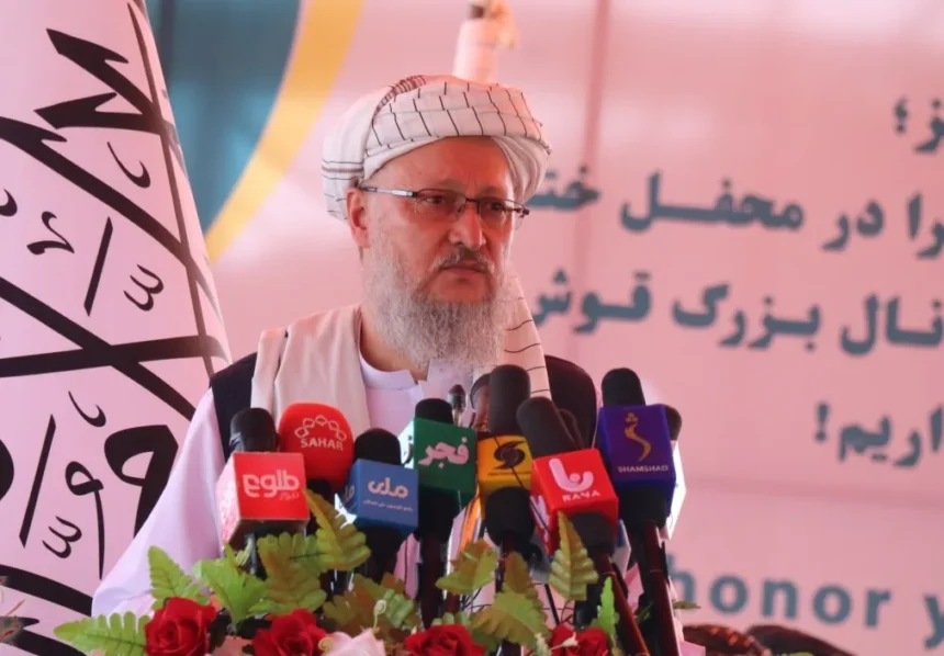 مقام ازبک‌تبار طالبان: در نظام ما گاه گاهی قوم‌پرستی هم دیده می‌شود