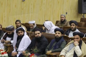 طالبان به سخن‌گویان خود دستور دادند اخباری‌که به‌نفع شان است نشر کنند