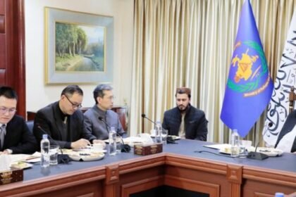 سفیرچین در کابل: چین به‌همکاری اقتصادی خود با طالبان ادامه می‌دهد