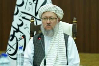 طالبان: کسی که مارا باسنگ بزند، با کلوخ می‌زنیم