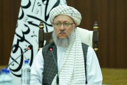 طالبان: کسی که مارا باسنگ بزند، با کلوخ می‌زنیم