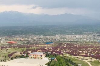 یک عضو گروه طالبان در پروان کشته شد