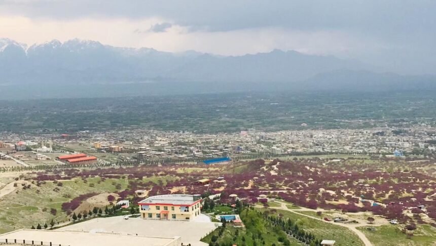 یک عضو گروه طالبان در پروان کشته شد