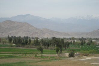 طالبان دختر جوانی را در ننگرهار با زور از خانه بیرون کردند