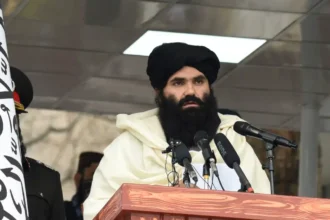 حقانی: شاید افراد ما در خفا انتقام گرفته باشند