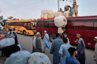 سازمان ملل از بازگشت گسترده مهاجران افغانستانی ابراز نگرانی کرد