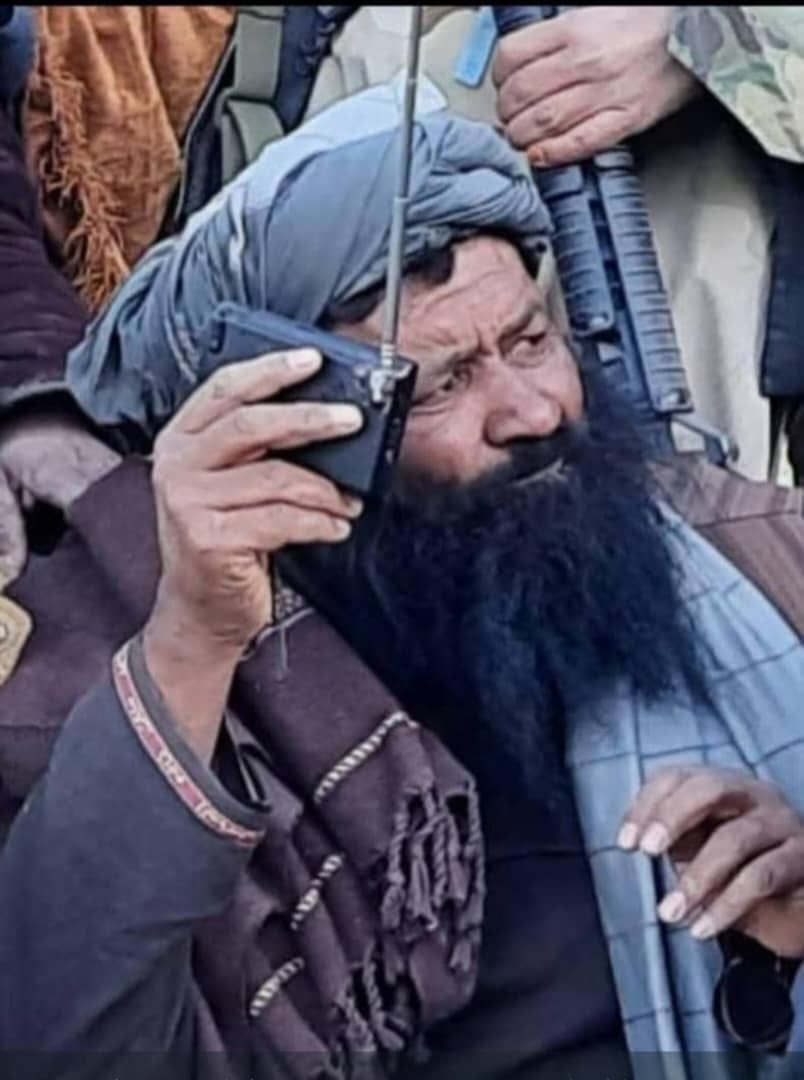روند سبز: گاوچران بی‌سواد به مقام معاونت استانداری رسید