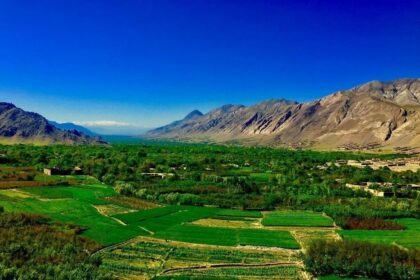 درگیری خونین میان دو خانواده در کاپیسا؛ سه تن کشته شدند