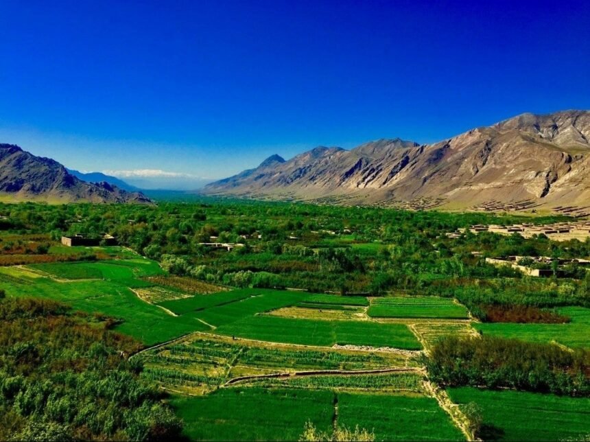 درگیری خونین میان دو خانواده در کاپیسا؛ سه تن کشته شدند