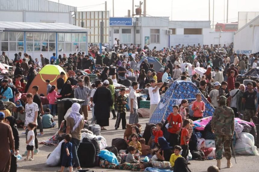 مقام ایرانی: روزانه ۲۵۰ بس حامل مهاجران افغانستانی به سوی مرز دوغارون در حرکت‌اند