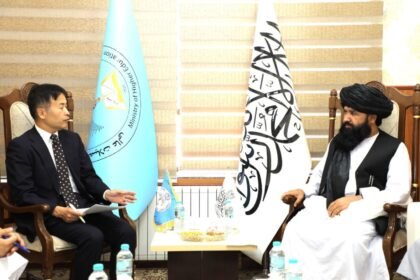 ندیم: اجرای شریعت اولویت ماست، نه تحصیل دختران