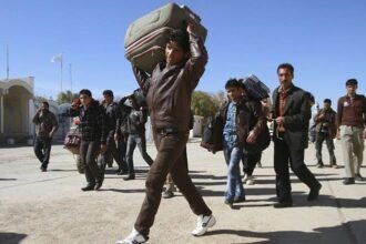 واکنش انجمن هماهنگی زنان فعال افغانستانی به اخراج اجباری پناهجویان از ایران