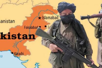 پناه گاه طالبان خبرگزاری راسک