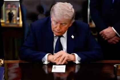 برادرزاده ترامپ