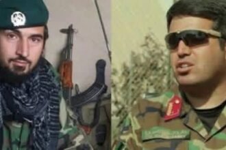 حامد سیفی - خالد امیری