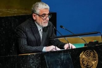 نماینده ایران در سازمان ملل