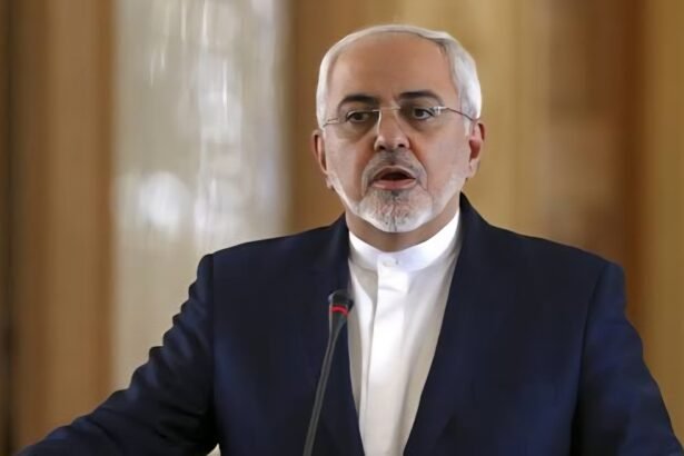 محمد جواد ظریف