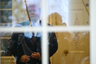 آتلانتیک دیلی دستیاران ترامپ