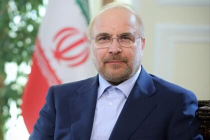 قالیباف