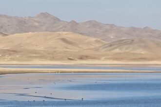 افغانستان پناهگاه پرندگان