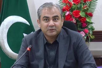 وزیر داخله پاکستان