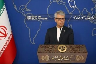 بقائی