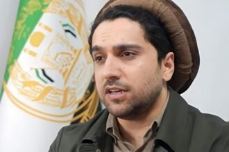 احمد مسعود